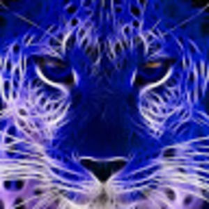 Meet your Posher, Selena